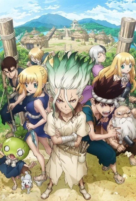 Dr Stone