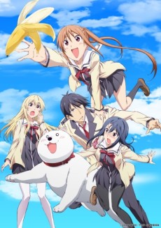 Aho Girl (Wadon Gendeng)